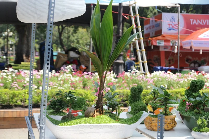 Kiểng nông sản đắt khách ở chợ hoa Tết Sài Gòn ảnh 10